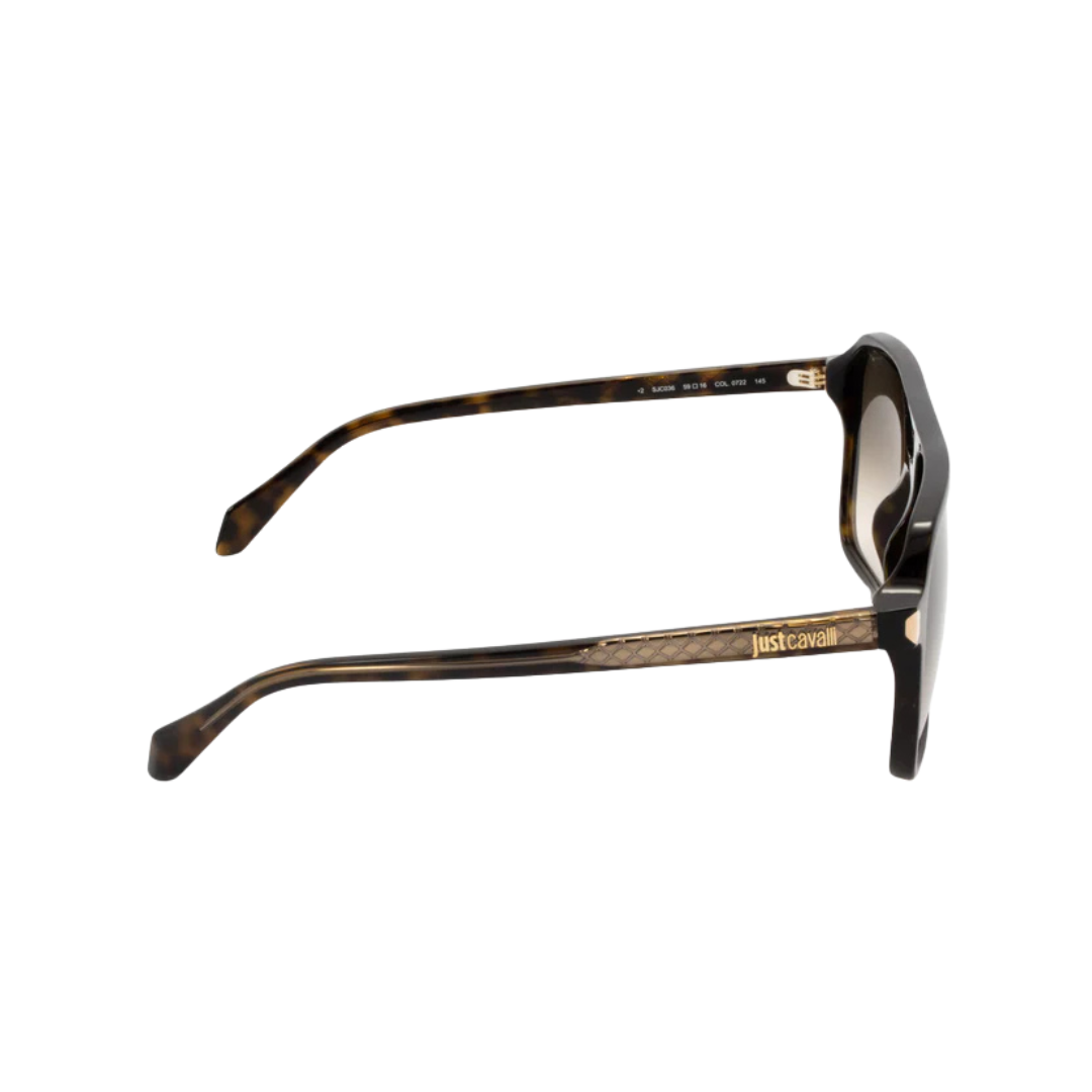 Just Cavalli Sunglasses | Model SJC036