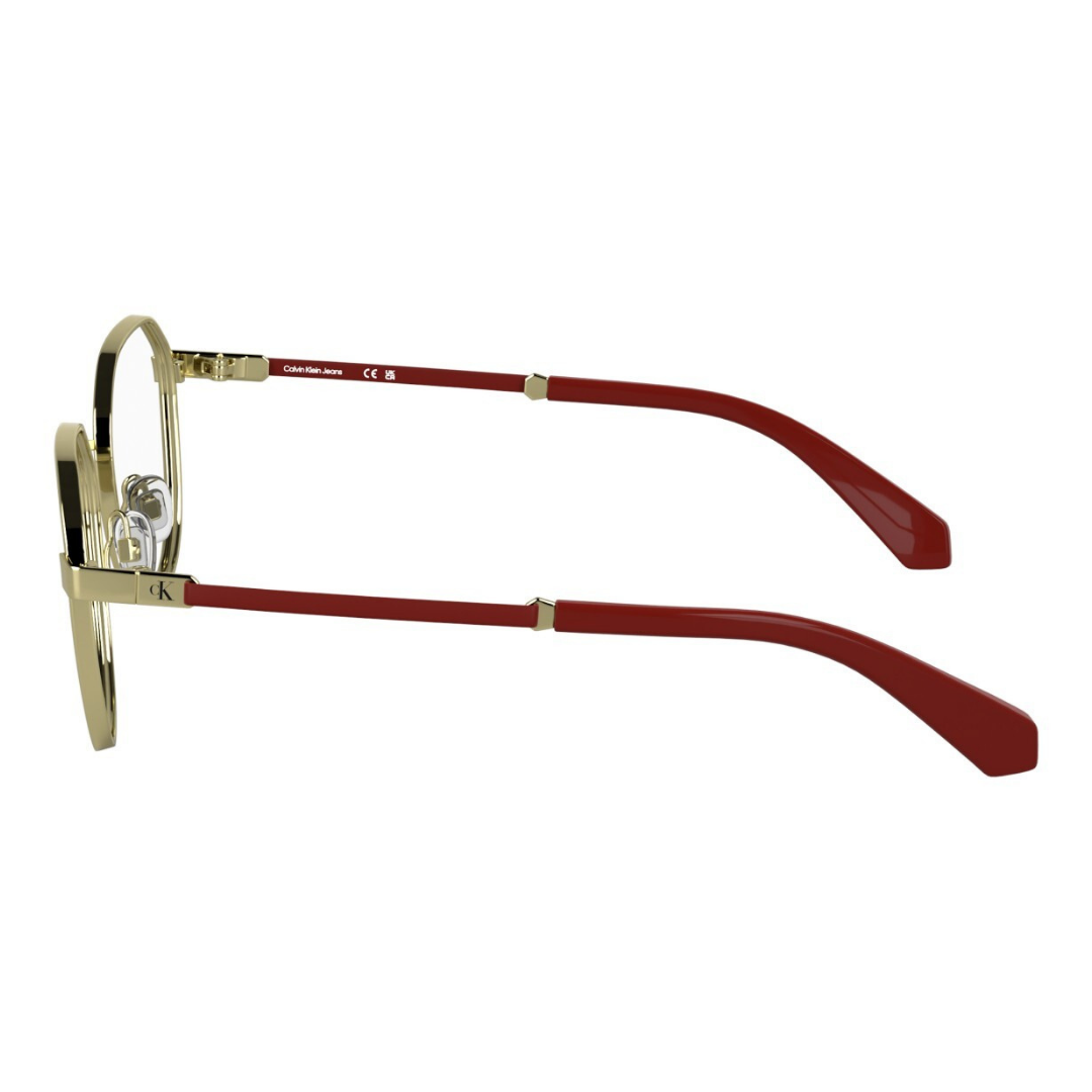 Lunettes Calvin Klein Jeans | Modèle CKJ25304