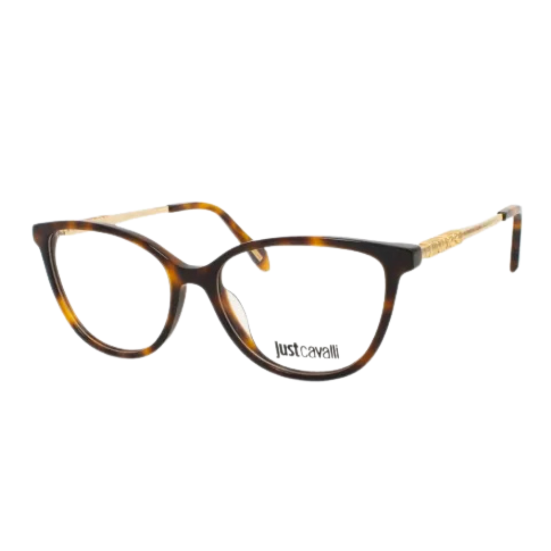 Monture optique Just Cavalli | Modèle VJC008