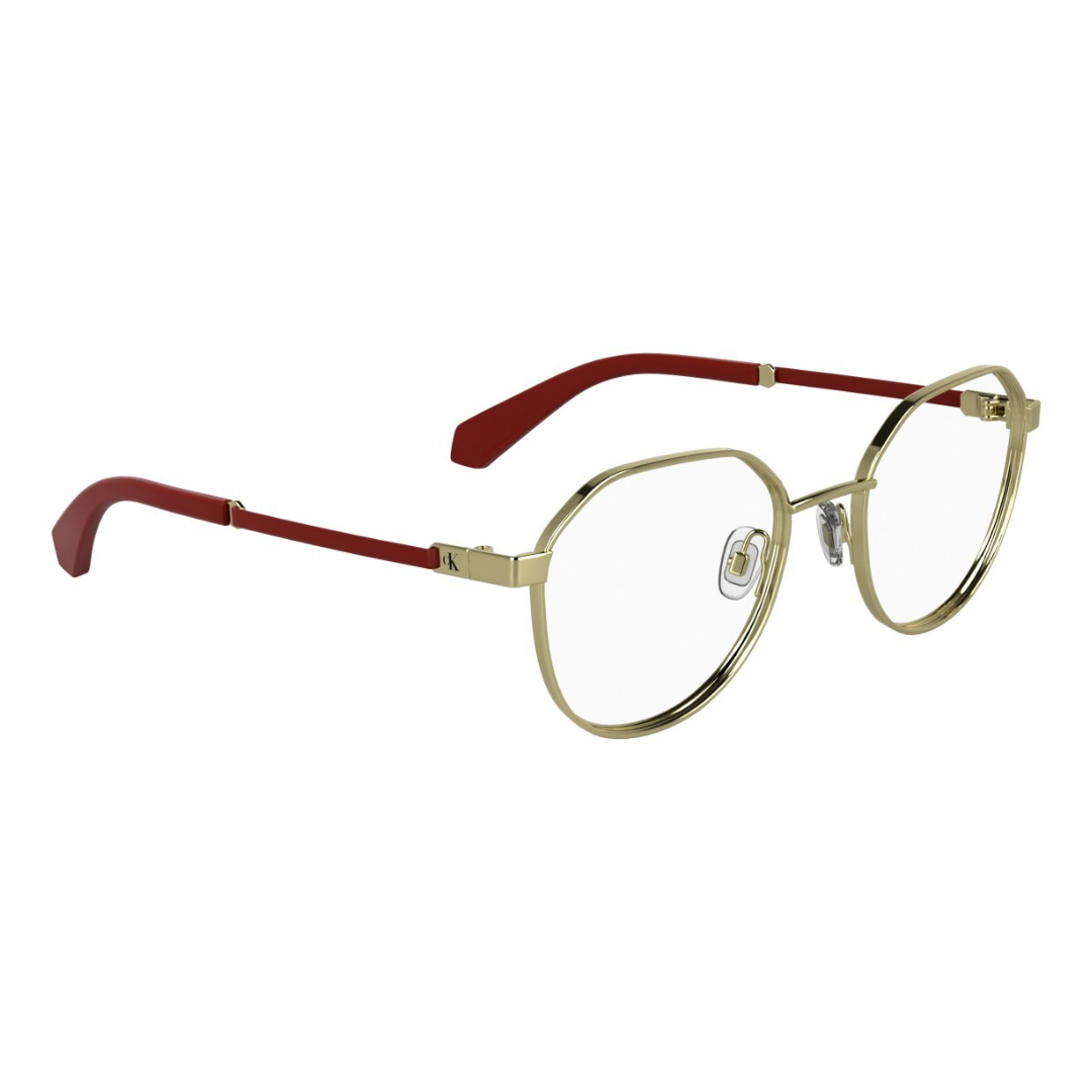 Lunettes Calvin Klein Jeans | Modèle CKJ25304