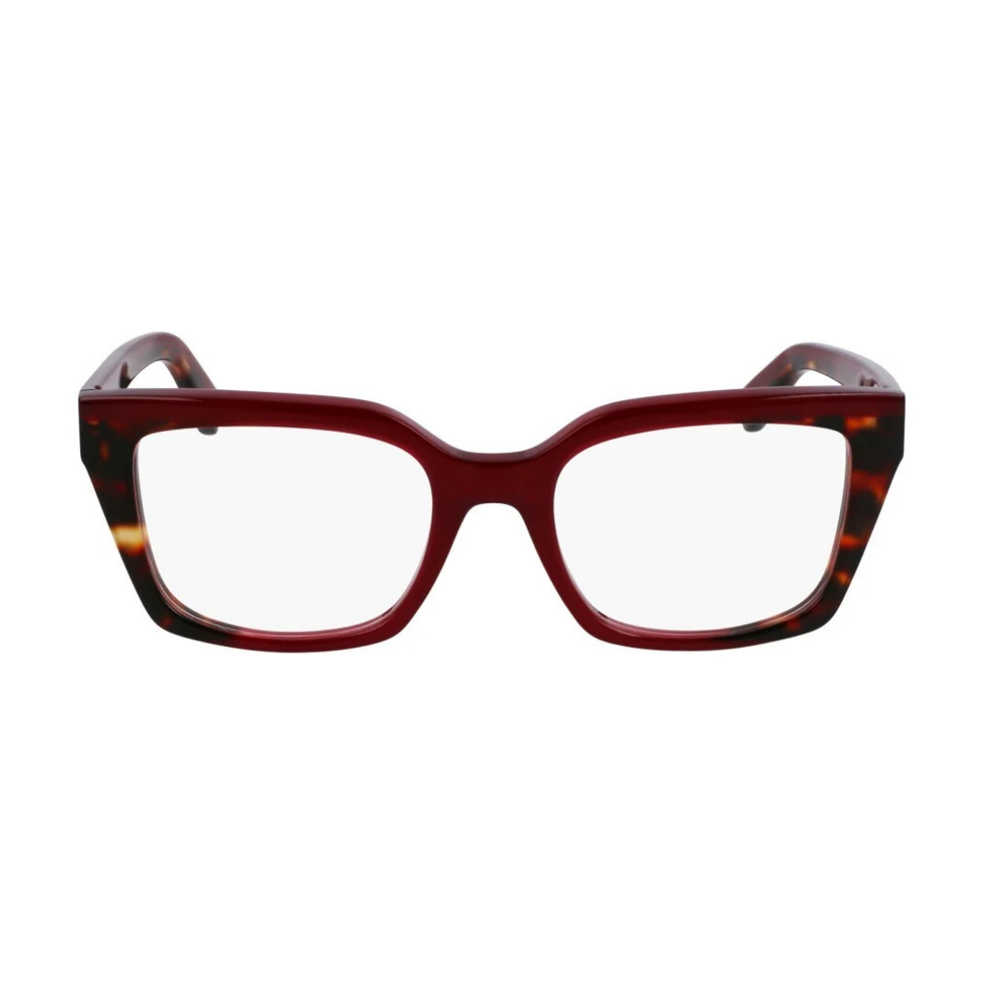 Lunettes Salvatore Ferragamo | Modèle SF3010