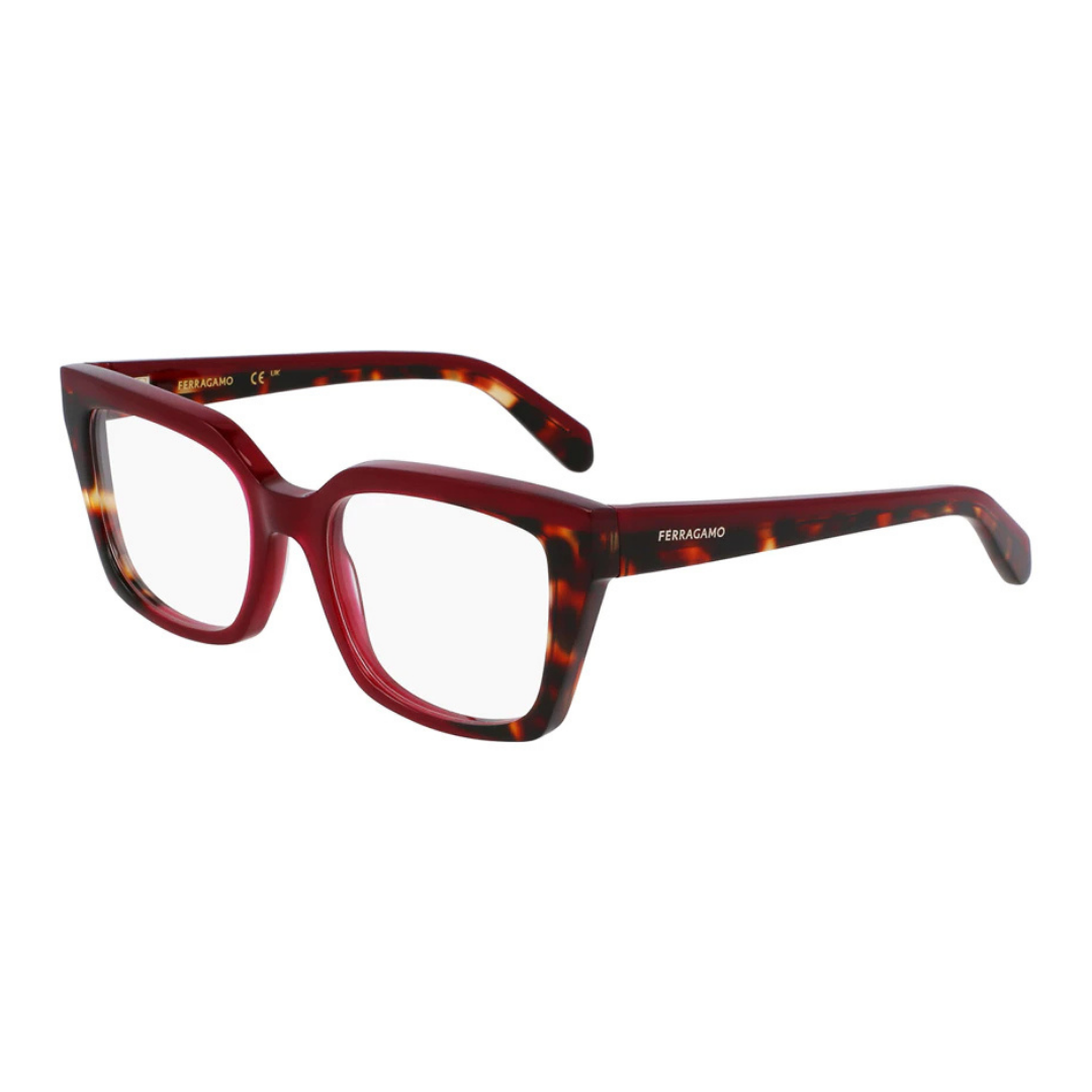 Lunettes Salvatore Ferragamo | Modèle SF3010