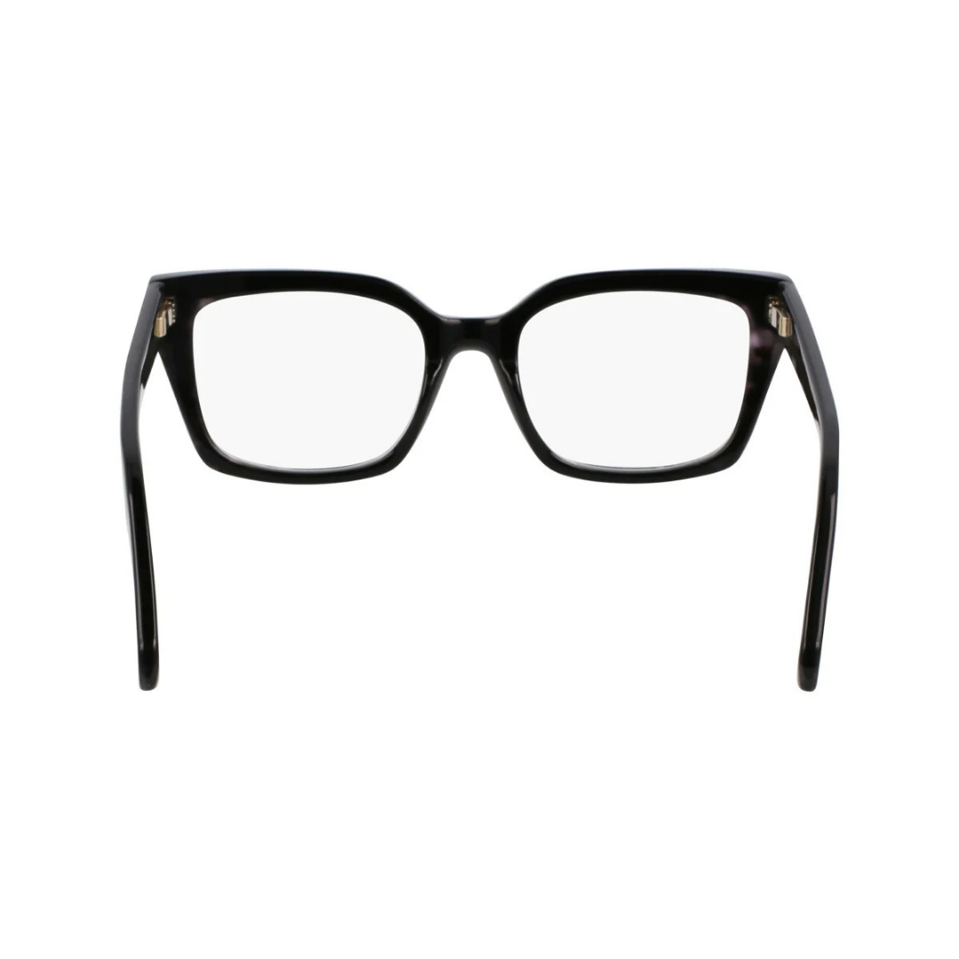Lunettes Salvatore Ferragamo | Modèle SF3010