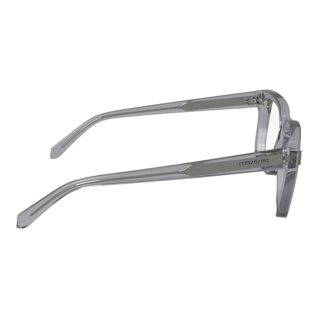 Lunettes Salvatore Ferragamo | Modèle SF2996