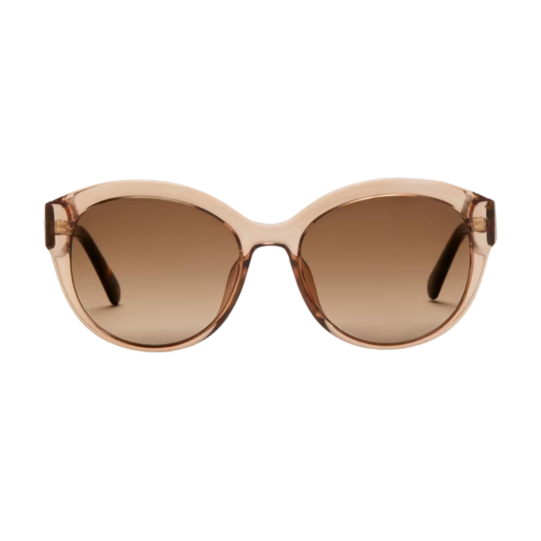 Kate Spade Sunglasses | Model Matera/O/S
