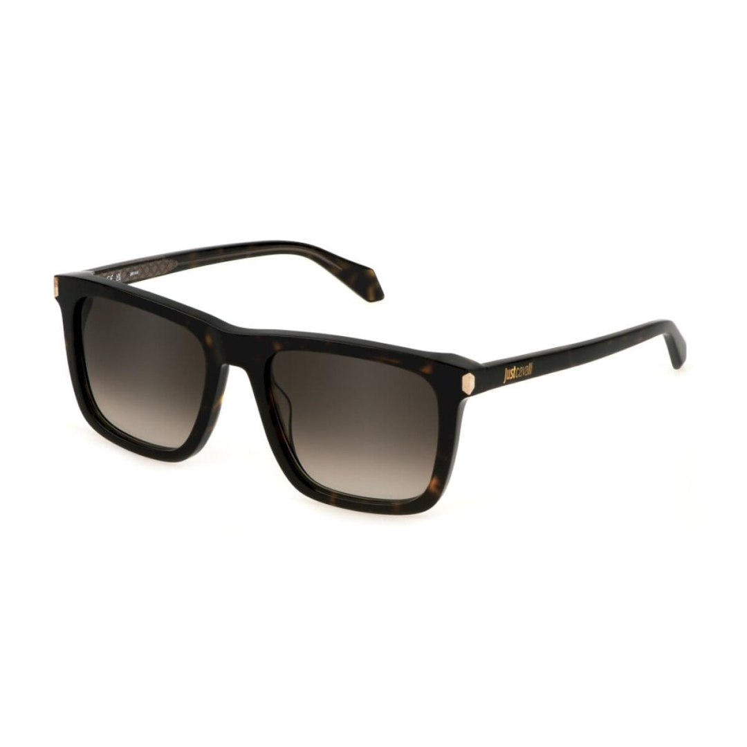 Lunettes de soleil David Beckham | Modèle DB 1078