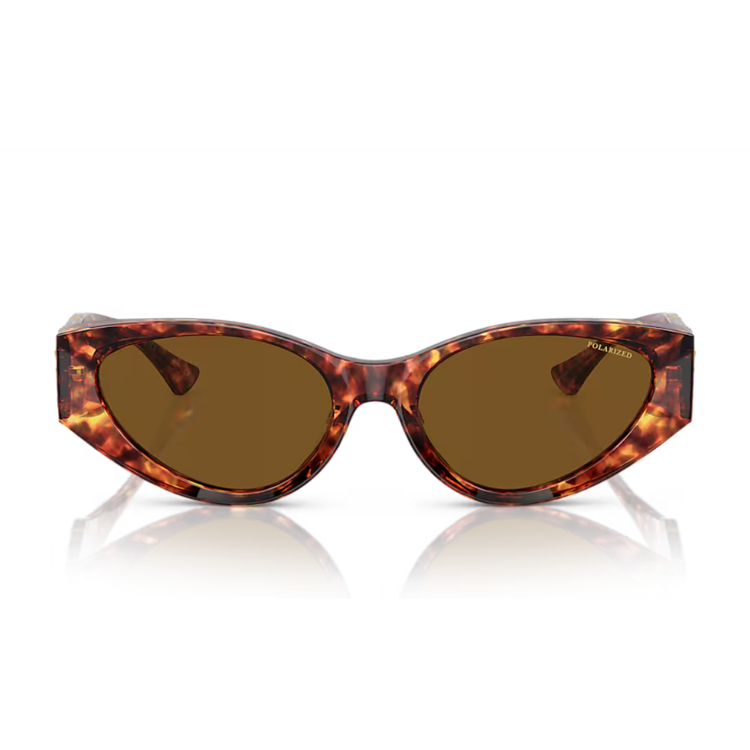 Versace Sunglasses | Model 0VE4454