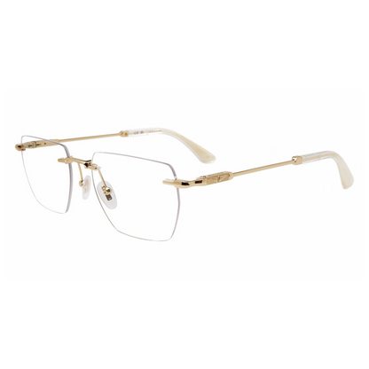 Police Spectacle Frame | Model VPLN27