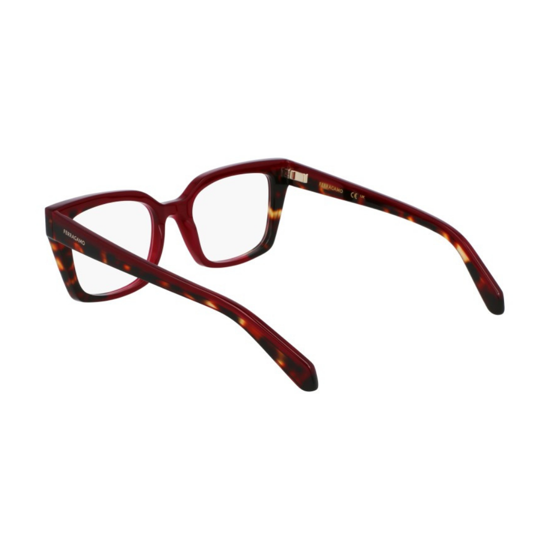 Lunettes Salvatore Ferragamo | Modèle SF3010