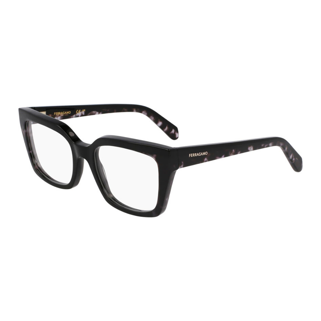 Lunettes Salvatore Ferragamo | Modèle SF3010