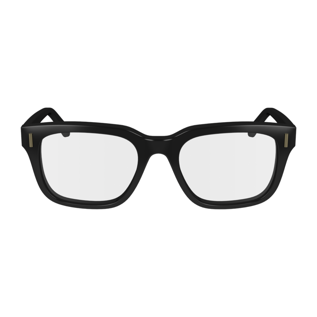 Lunettes Salvatore Ferragamo | Modèle SF2996