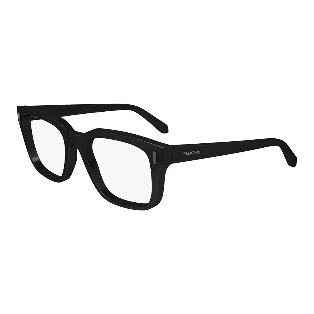 Lunettes Salvatore Ferragamo | Modèle SF2996