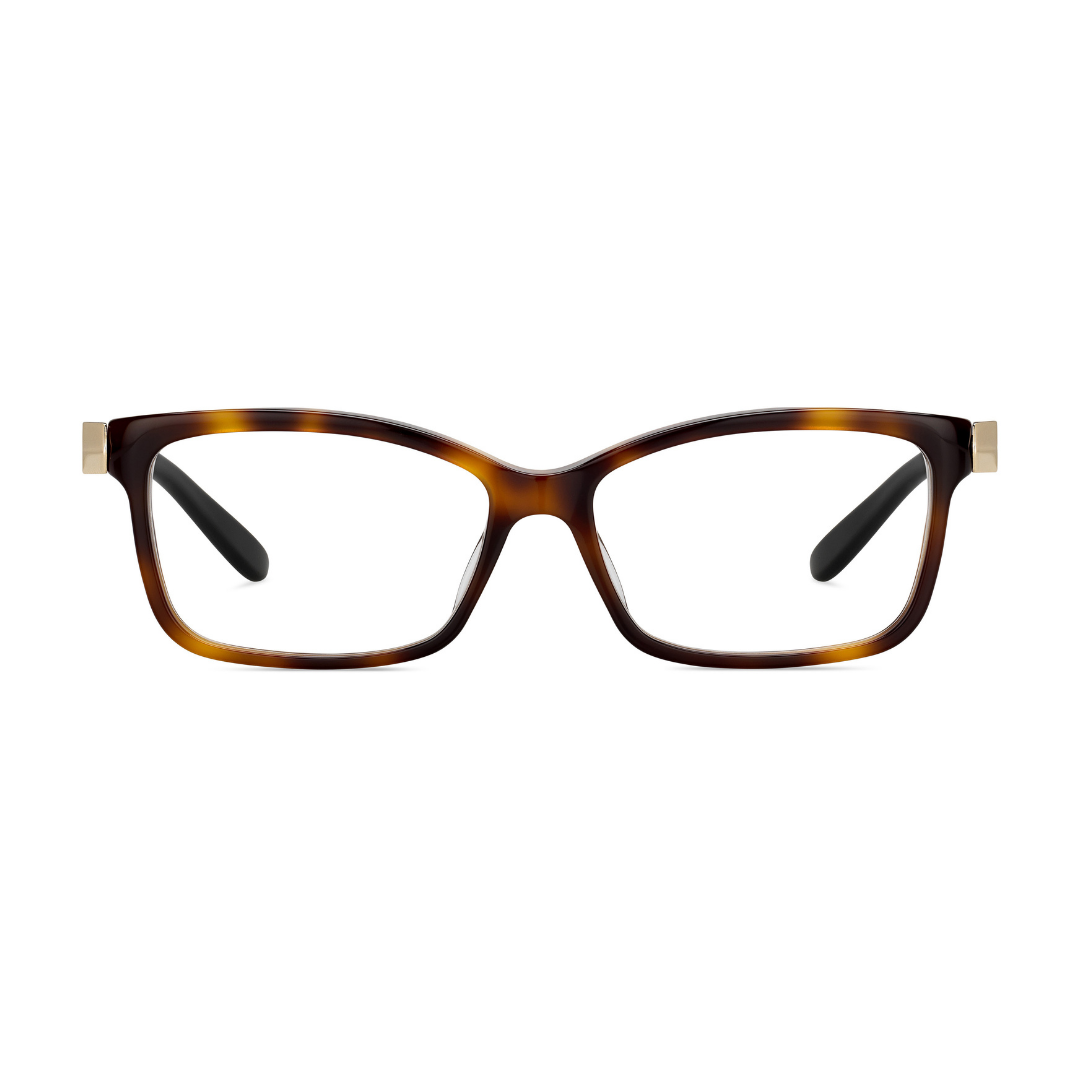 Jimmy Choo Spectacle Frame | Model JC225